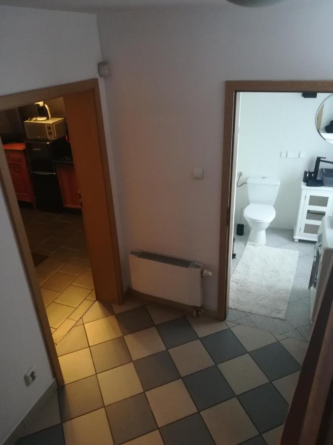 Central Point Apartman Zielona Góra Kültér fotó