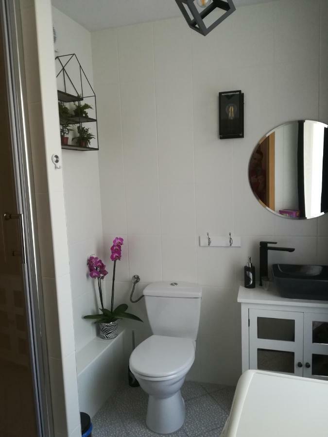 Central Point Apartman Zielona Góra Kültér fotó